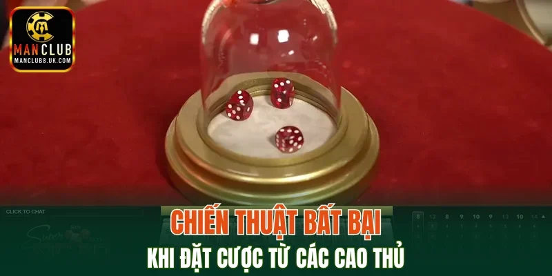 Tận dụng kinh nghiệm học hỏi từ những người đi trước